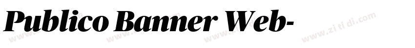 Publico Banner Web字体转换